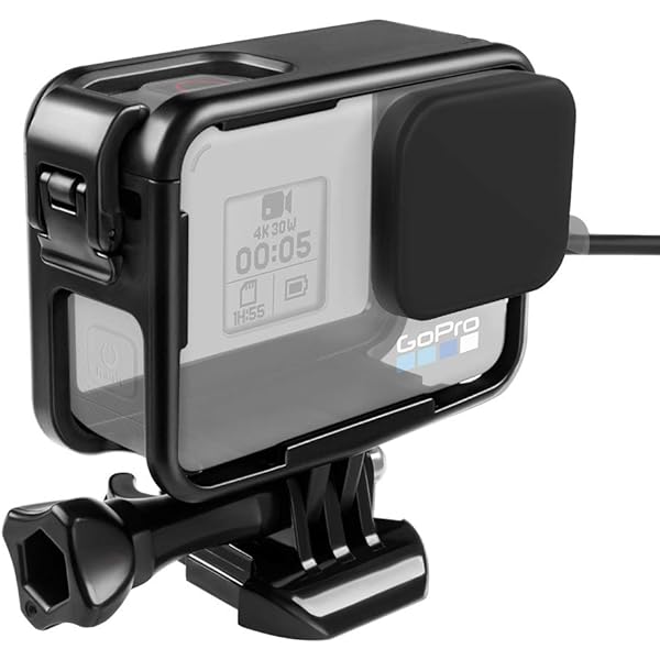 Amazon.co.jp: 【国内正規品】 GoPro アクションカメラ HERO5 Black 