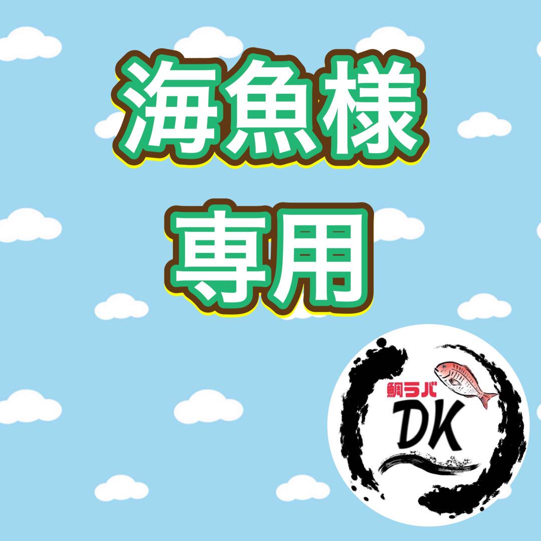 45gオレキン4個レインボーA3個60g オレキン3個計10個　海魚