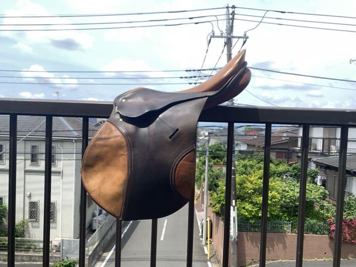 パッシェ障害鞍　PASSIER COMET