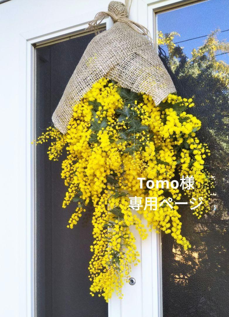 Tomoページ　☘ミモザアカシアのスワッグ・リースセット☘